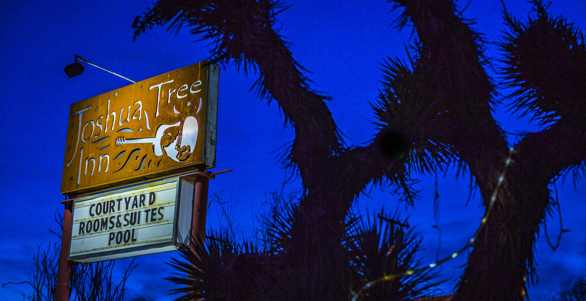 A nighttime photo of a sign that says Joshua tree inn and a joshua tree silhouette next to it. 