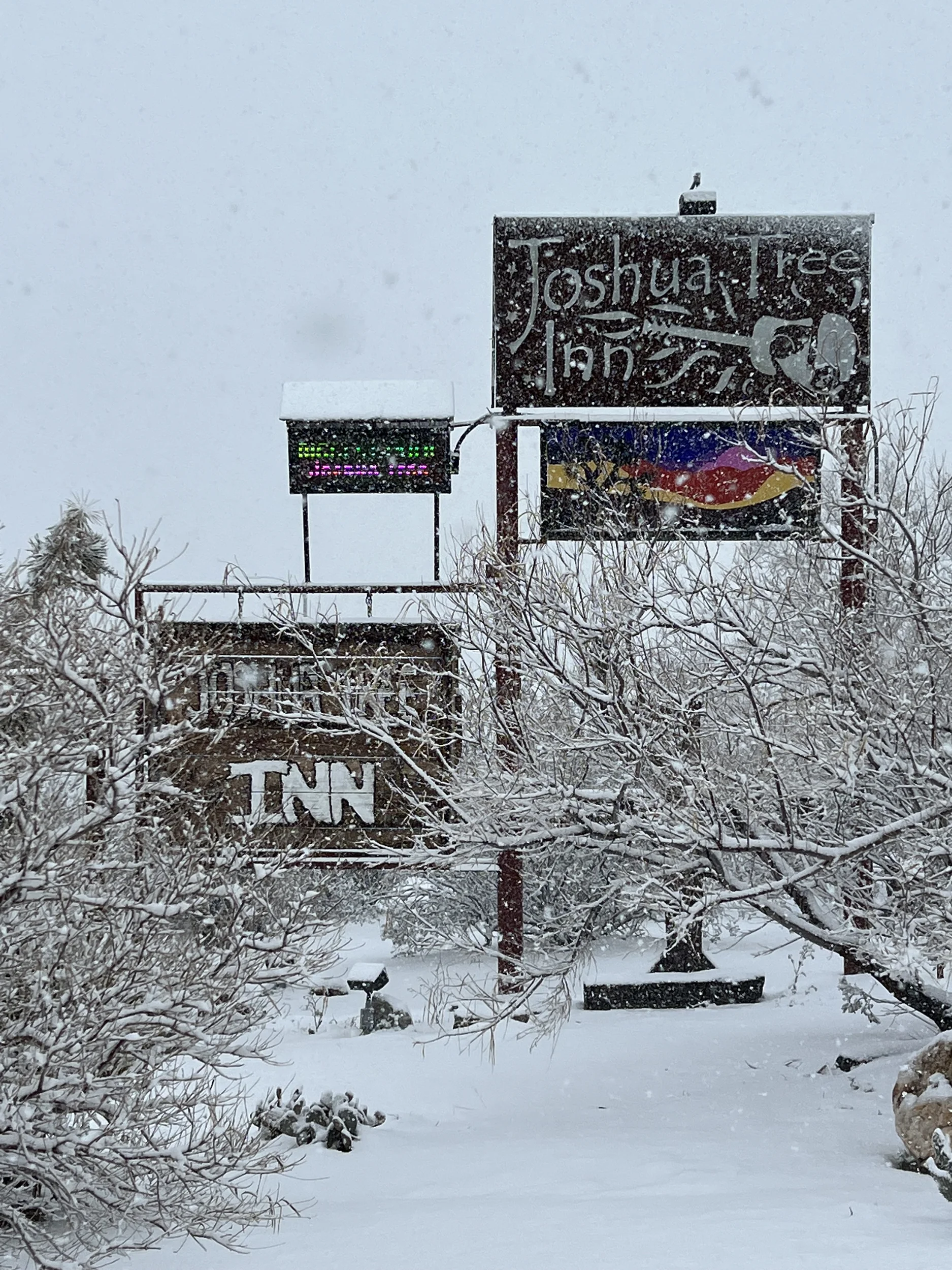 The JoshuaTree street sign and native plants in the snow. 