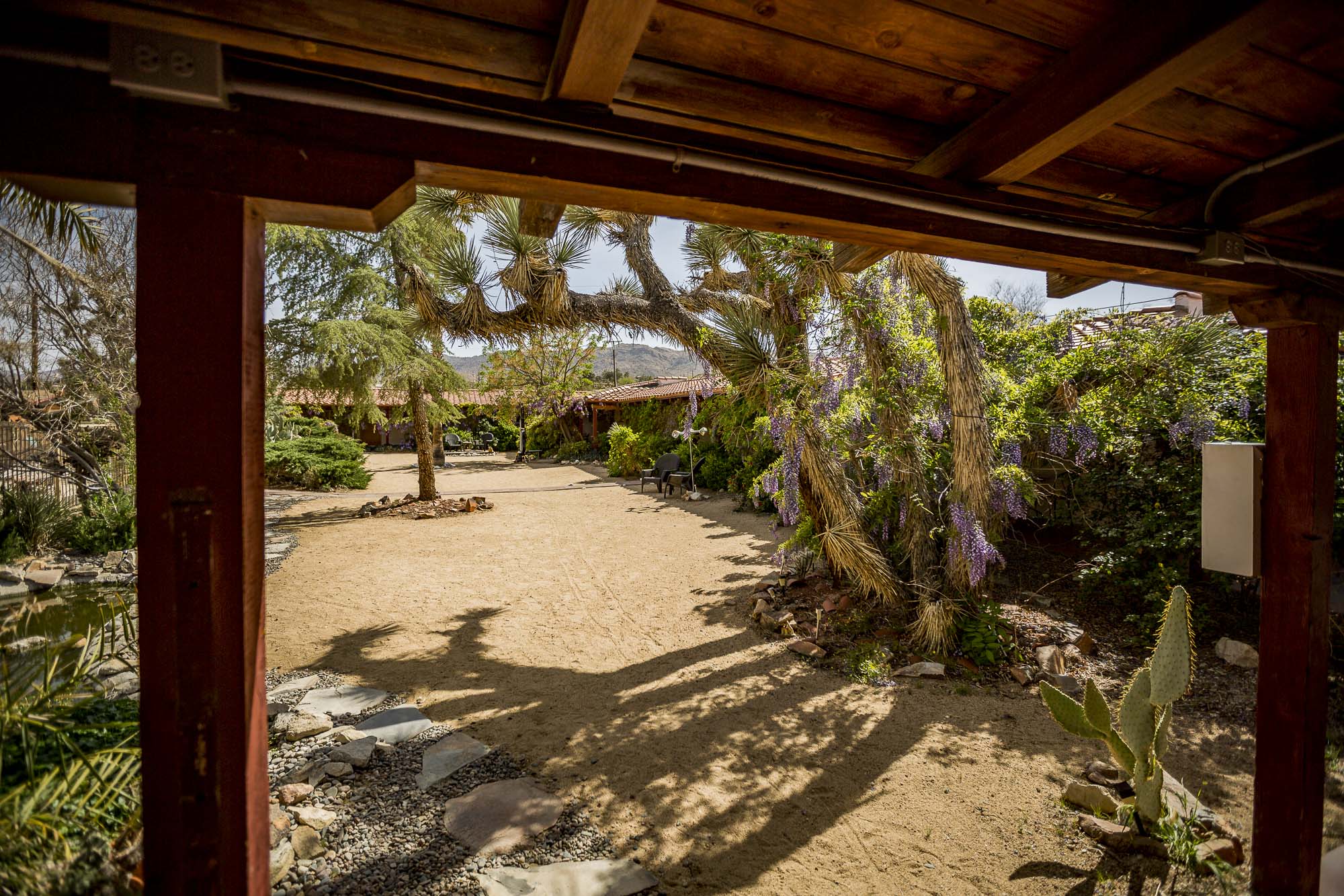 View of a courtyard from under a veranda, with trees, joshua tree and bushes in the distance.