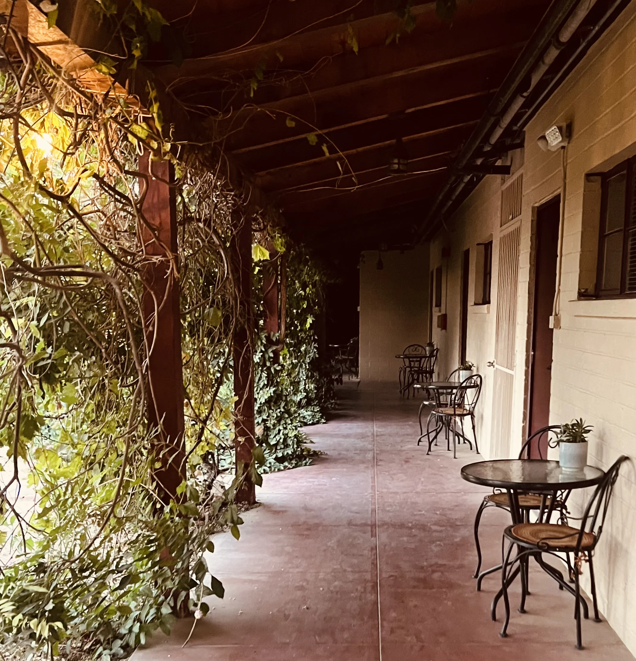 A covered outdoor hall way with flowers and vines to the left and hotel room doors with tables and chairs to the right. Rust Red sidewalk